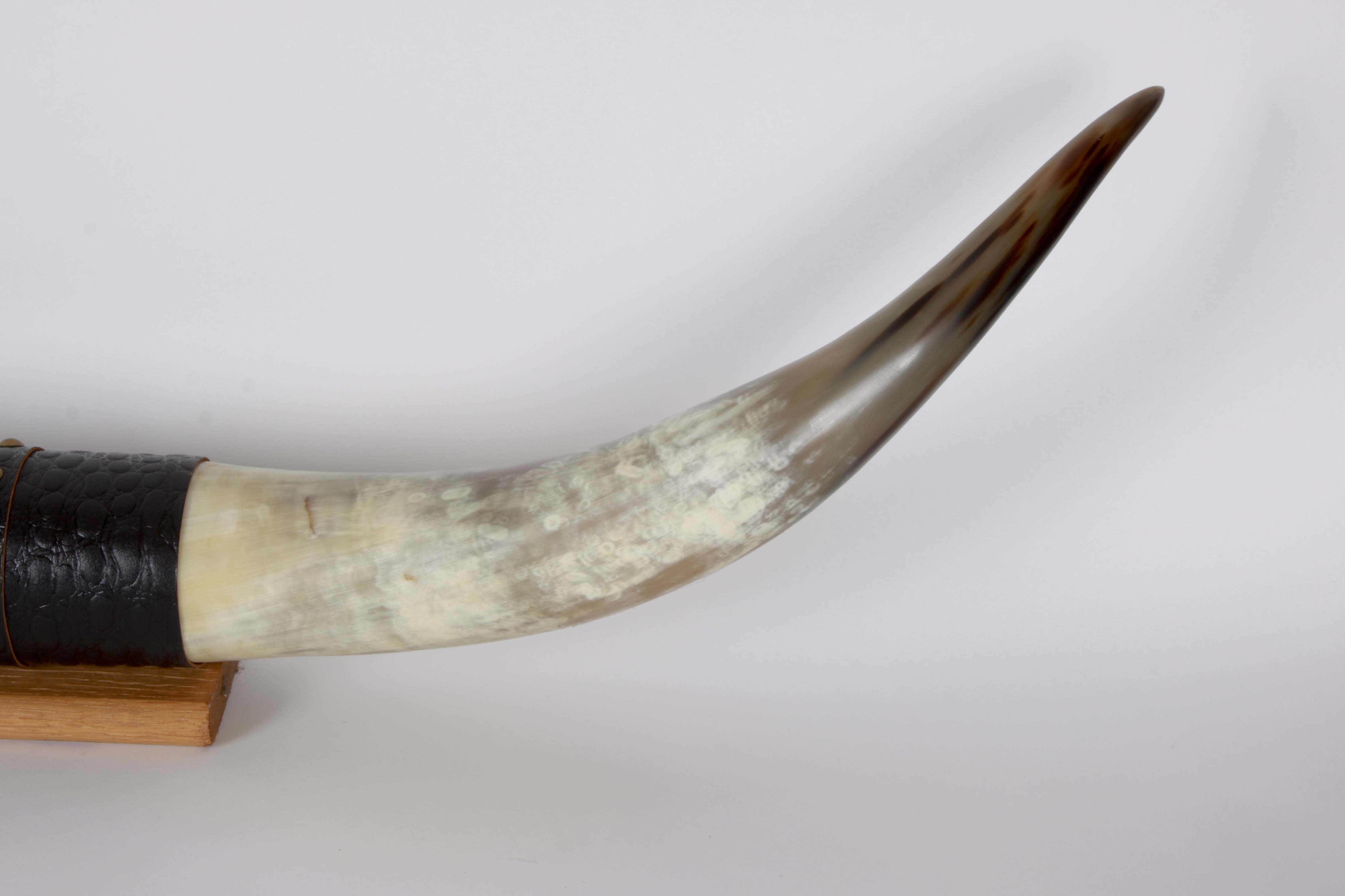 Genuine "Bevo Longhorns" Cotton Bowl Trophy