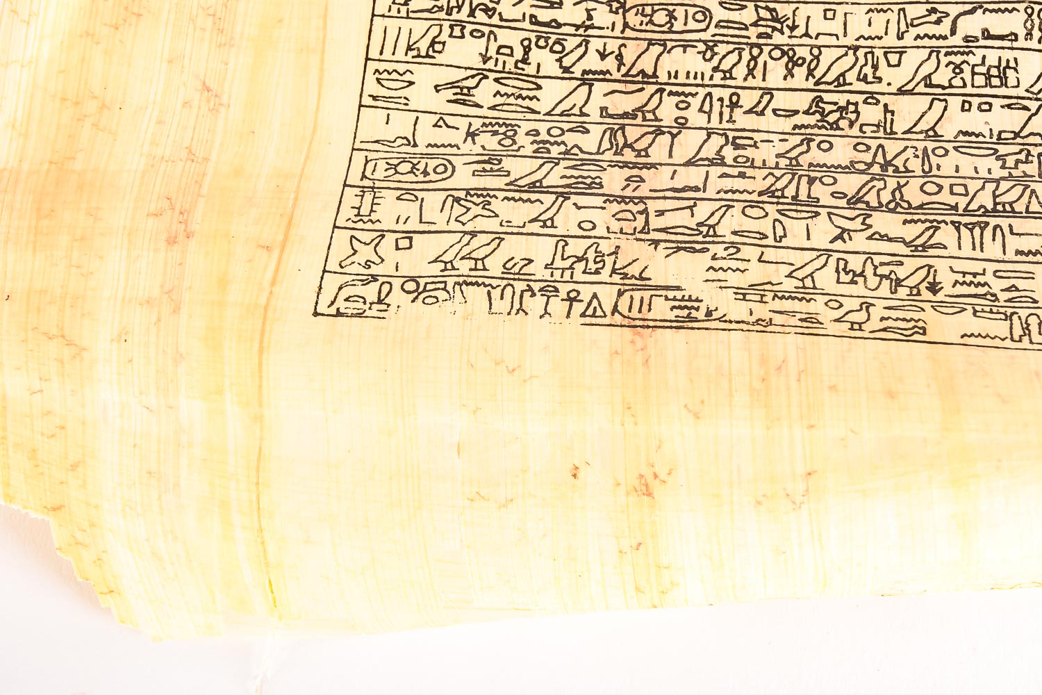 Two Eqyptian Papyrus Artworks