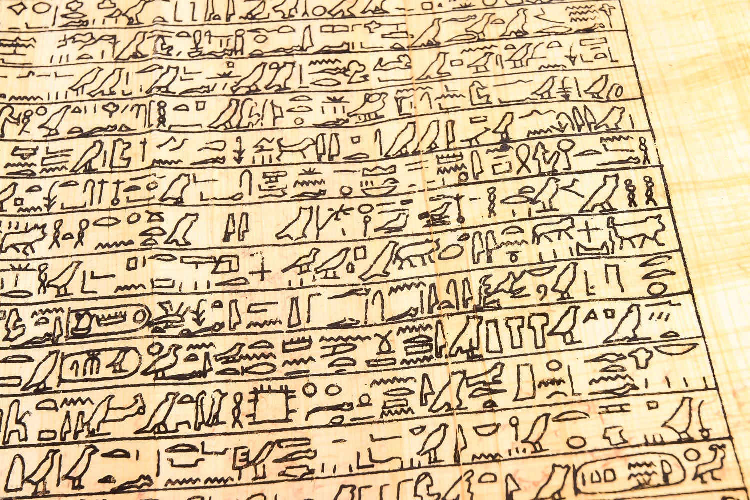 Two Eqyptian Papyrus Artworks