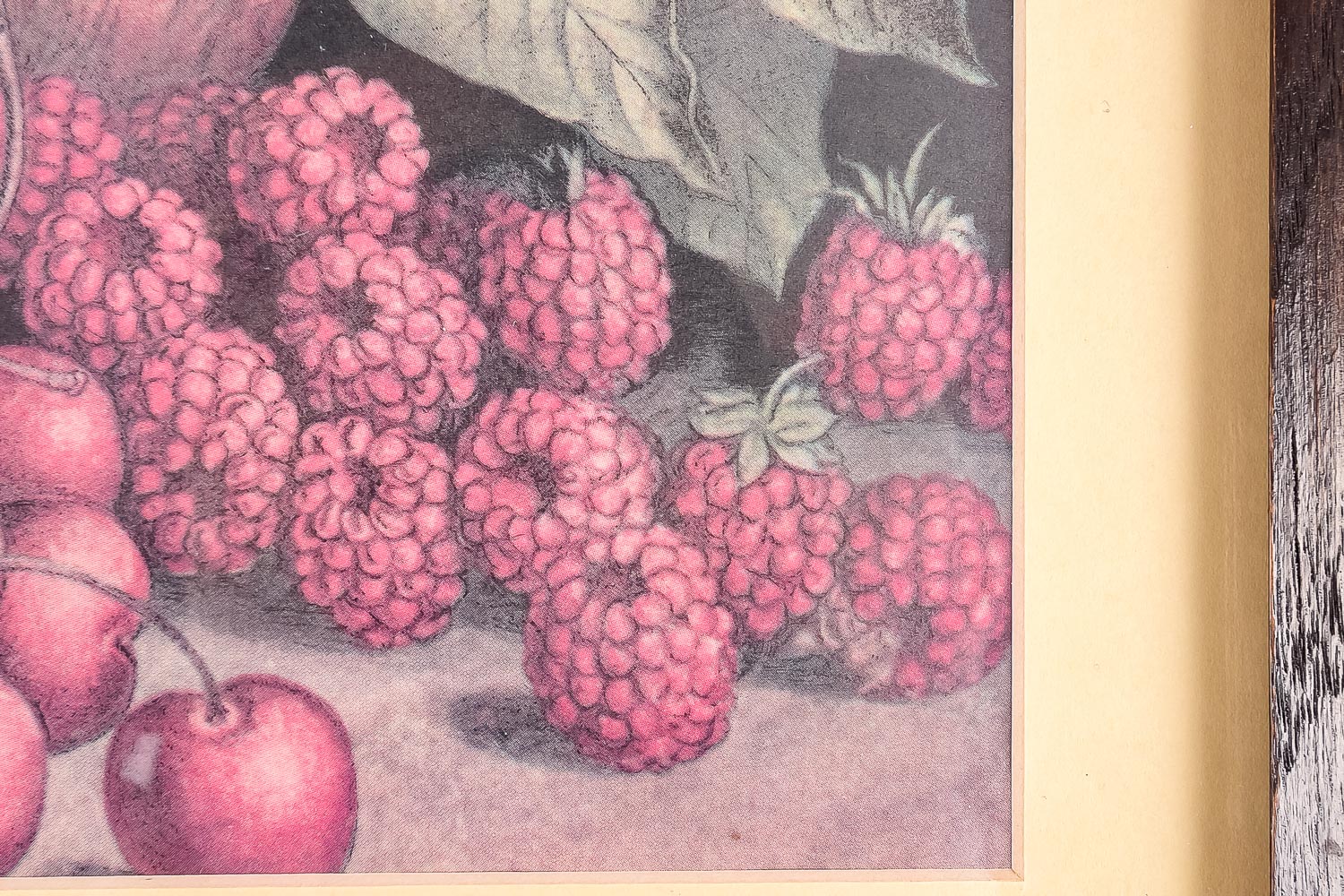 Fruit and Bird-Themed Offset Lithograph Print