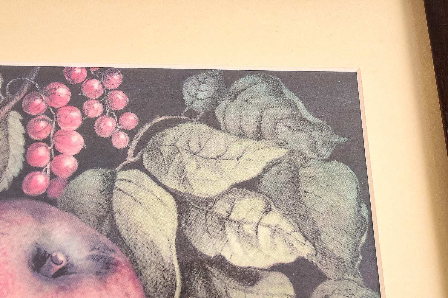 Fruit and Bird-Themed Offset Lithograph Print