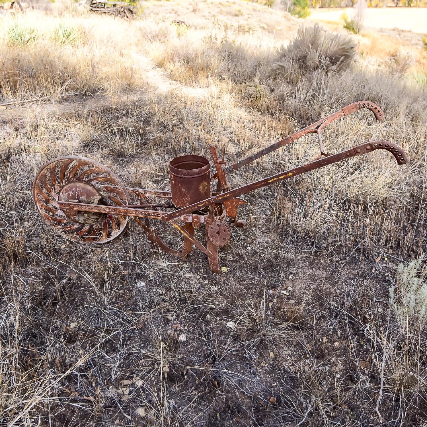 Vintage Seed Spreader