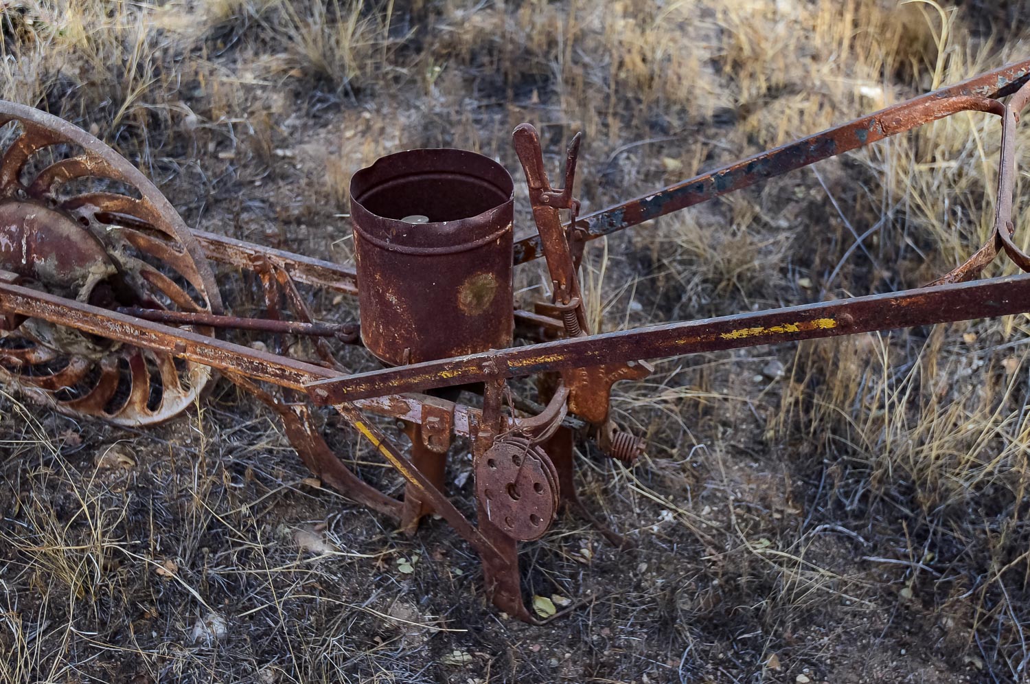 Vintage Seed Spreader