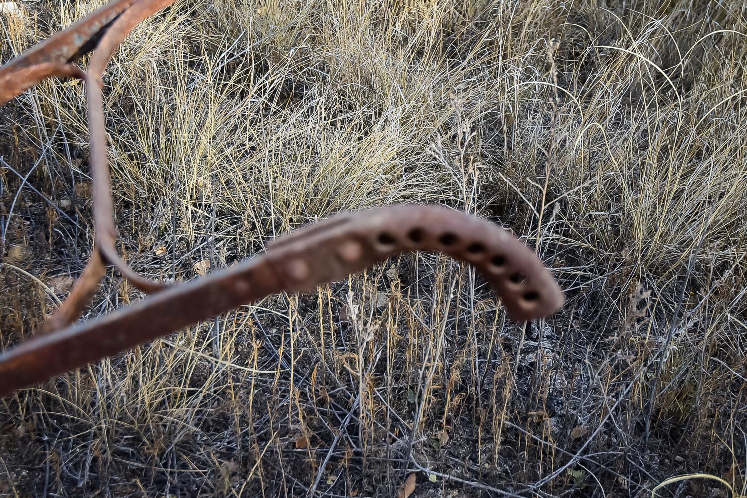 Vintage Seed Spreader