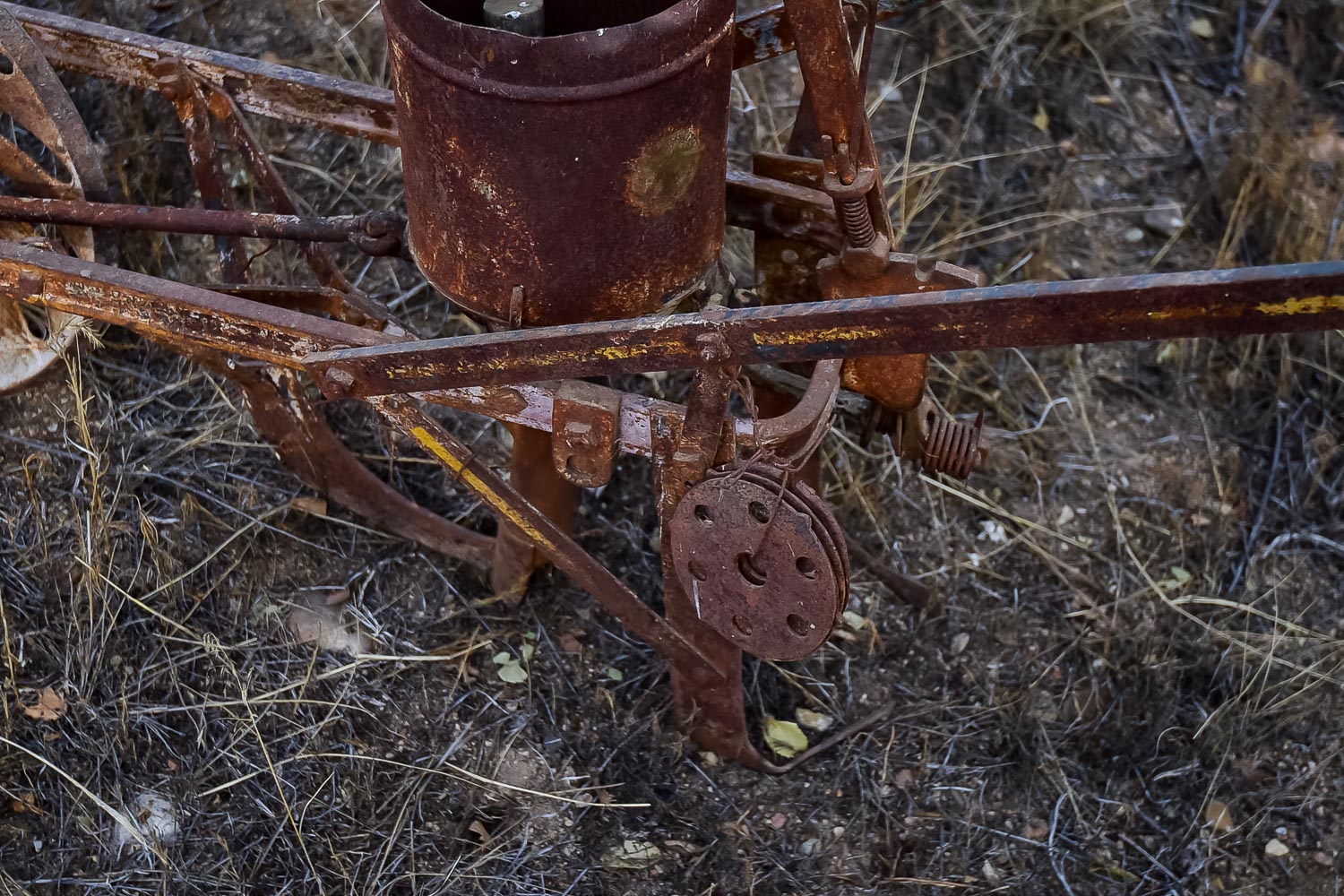 Vintage Seed Spreader