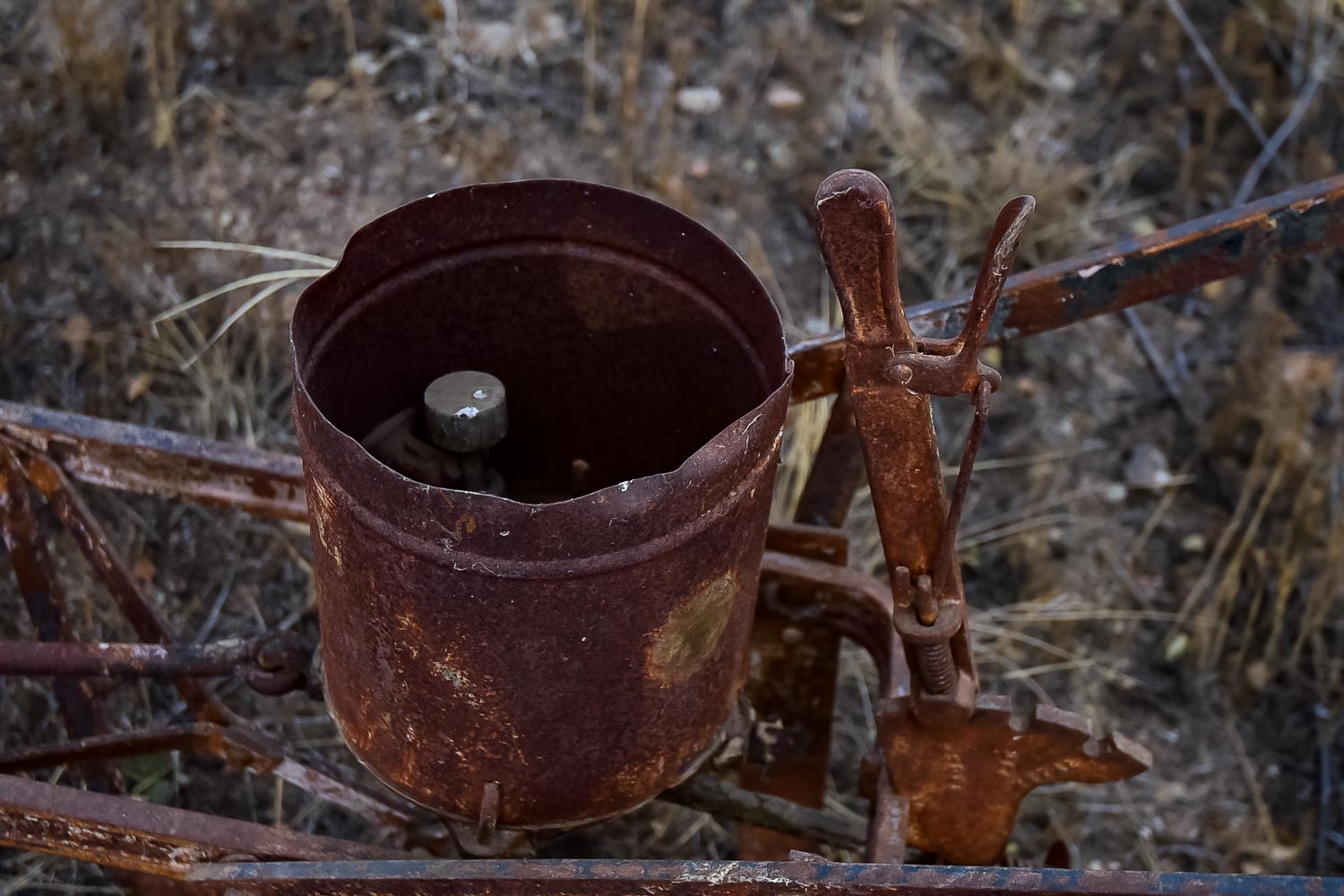 Vintage Seed Spreader