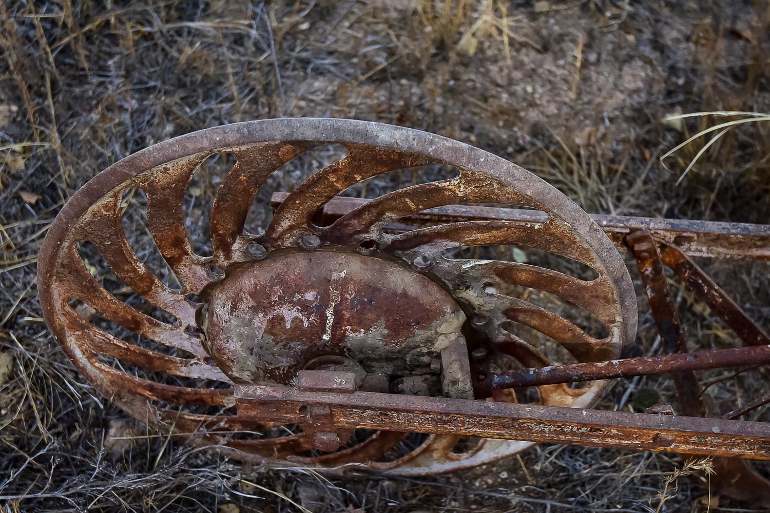 Vintage Seed Spreader