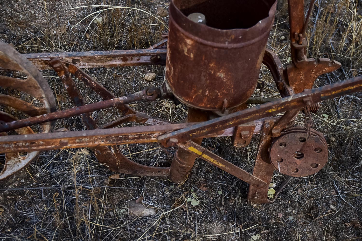Vintage Seed Spreader