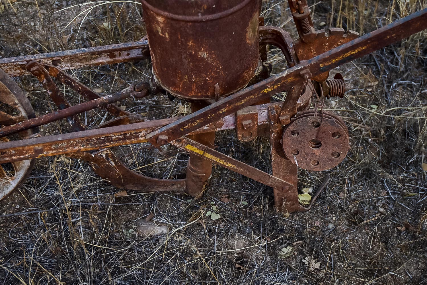 Vintage Seed Spreader