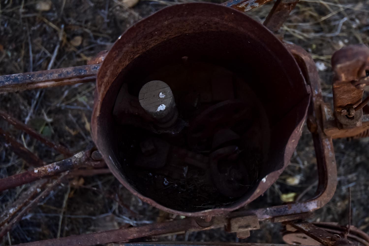 Vintage Seed Spreader