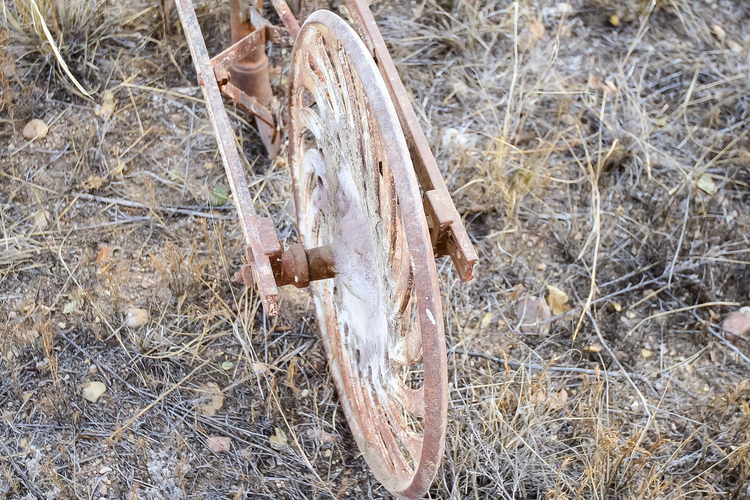 Vintage Seed Spreader