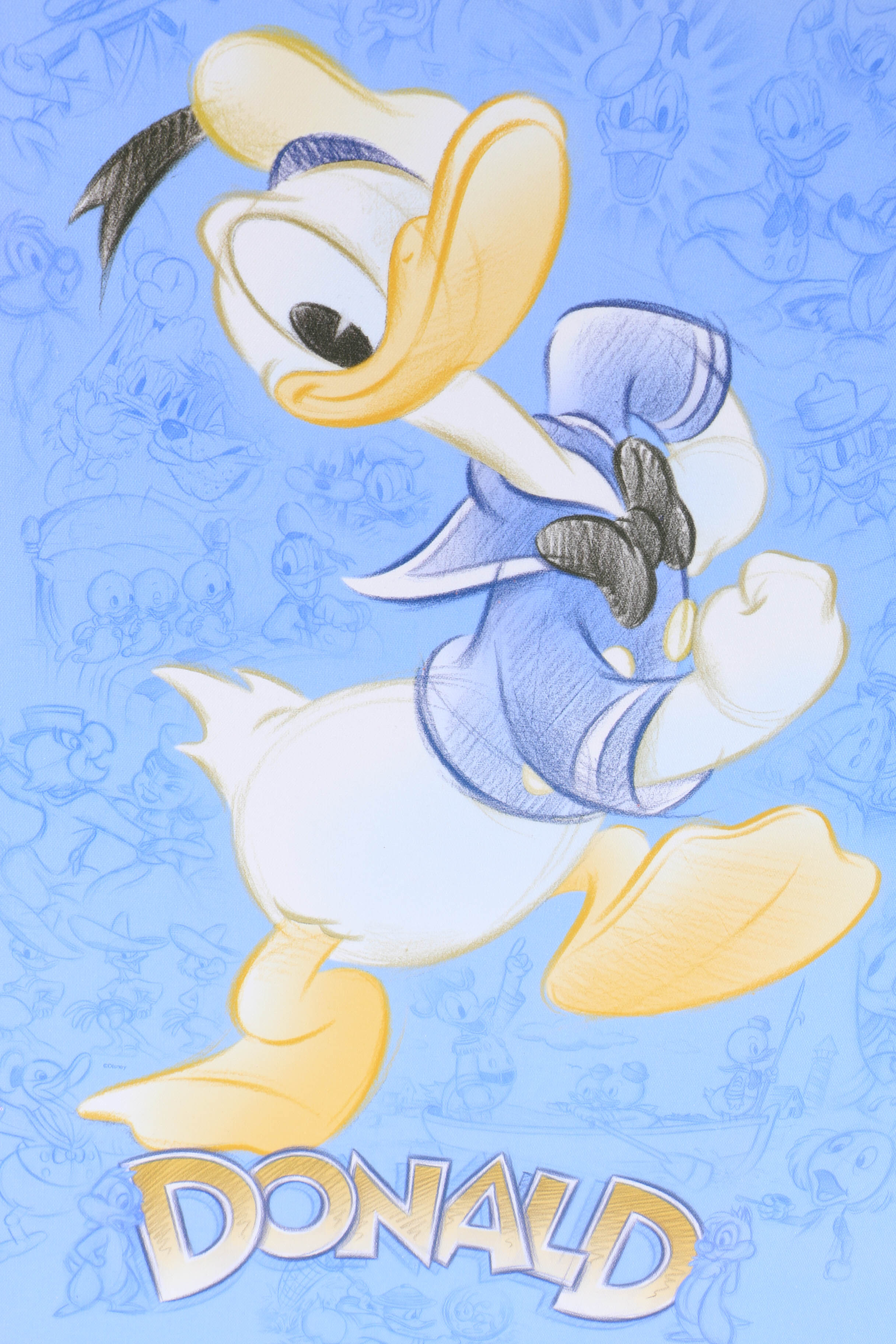 Giclee on Canvas Board of Disney's Donald Duck