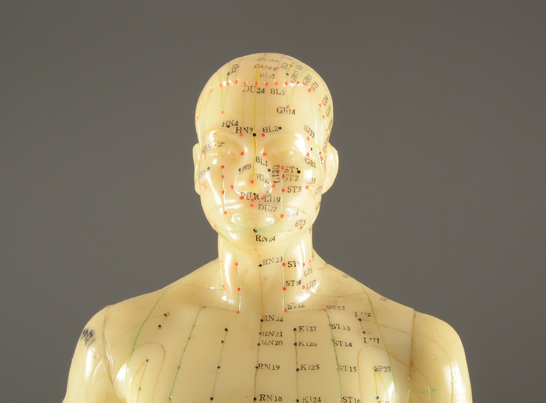 Vintage Acupuncture Model
