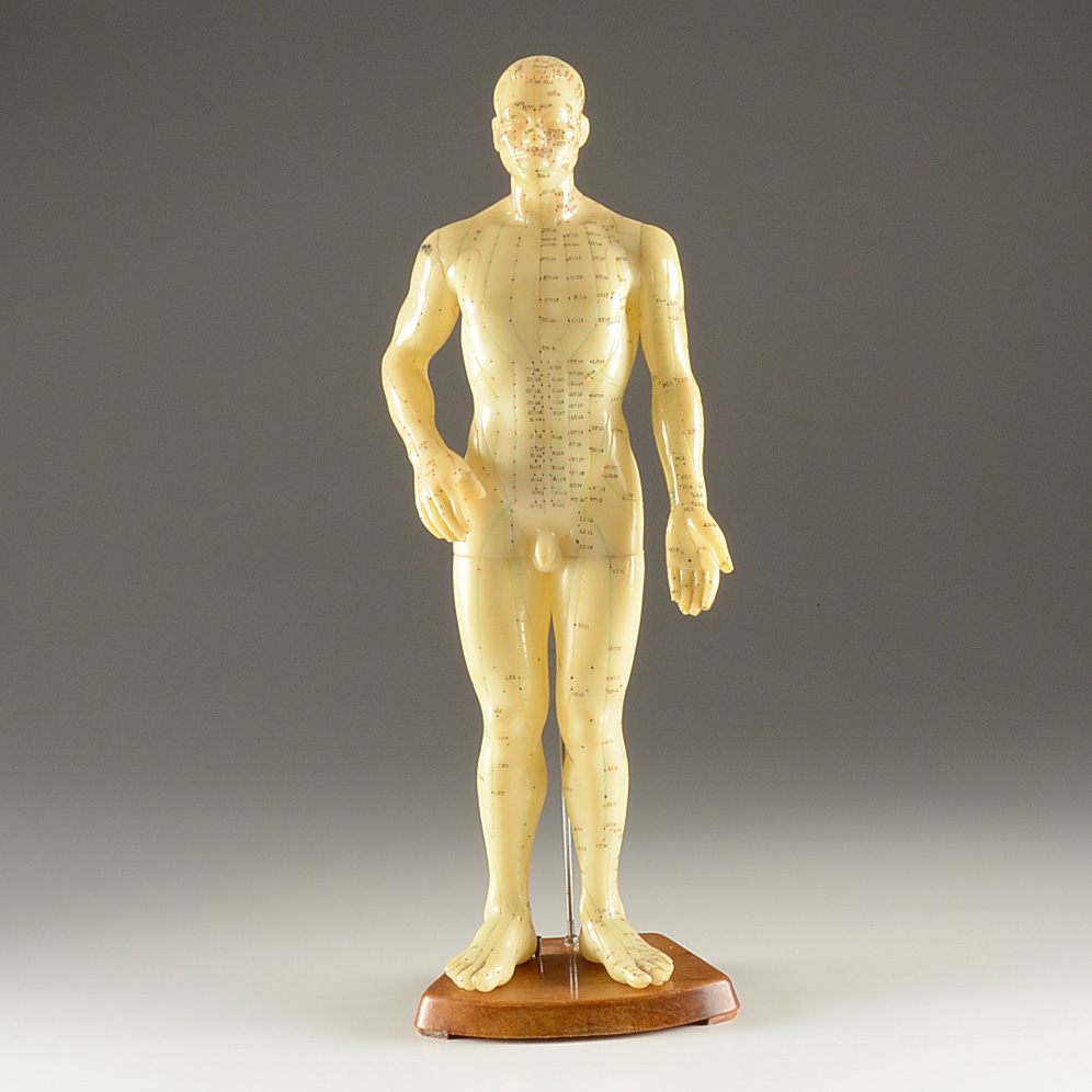 Vintage Acupuncture Model