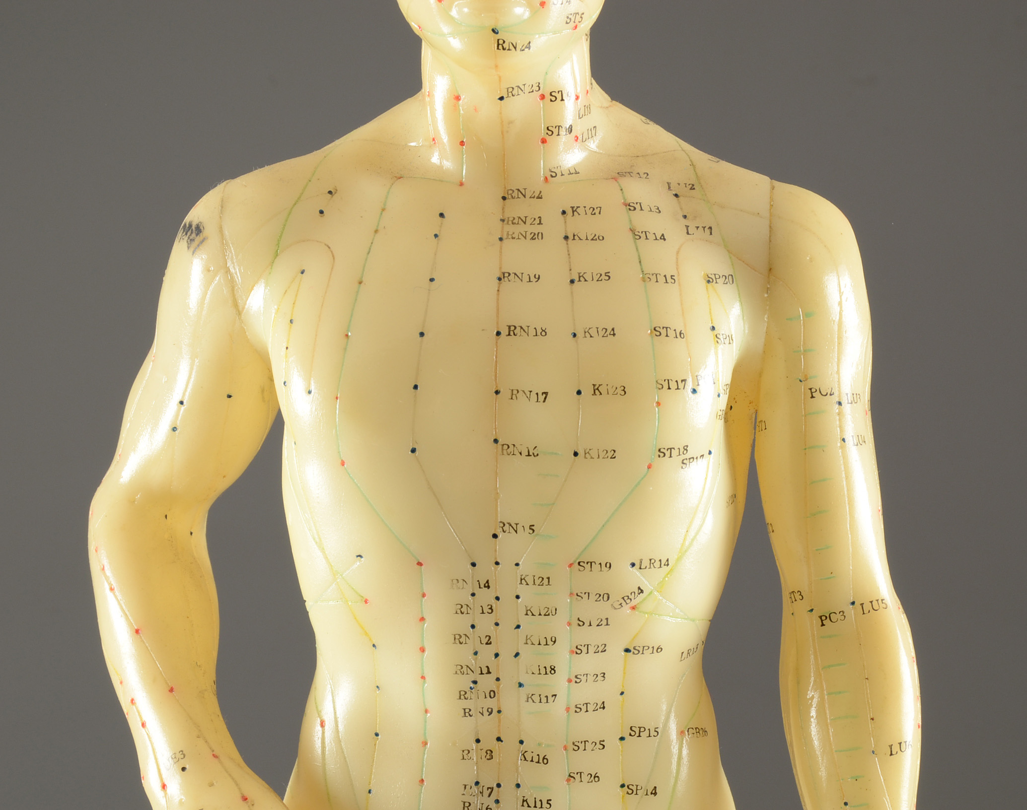 Vintage Acupuncture Model