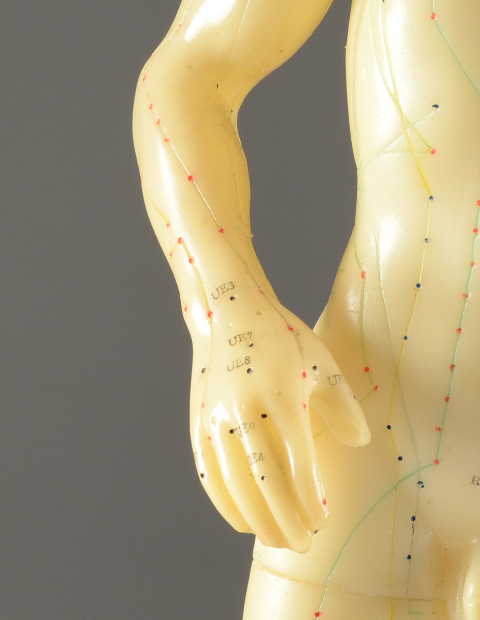 Vintage Acupuncture Model