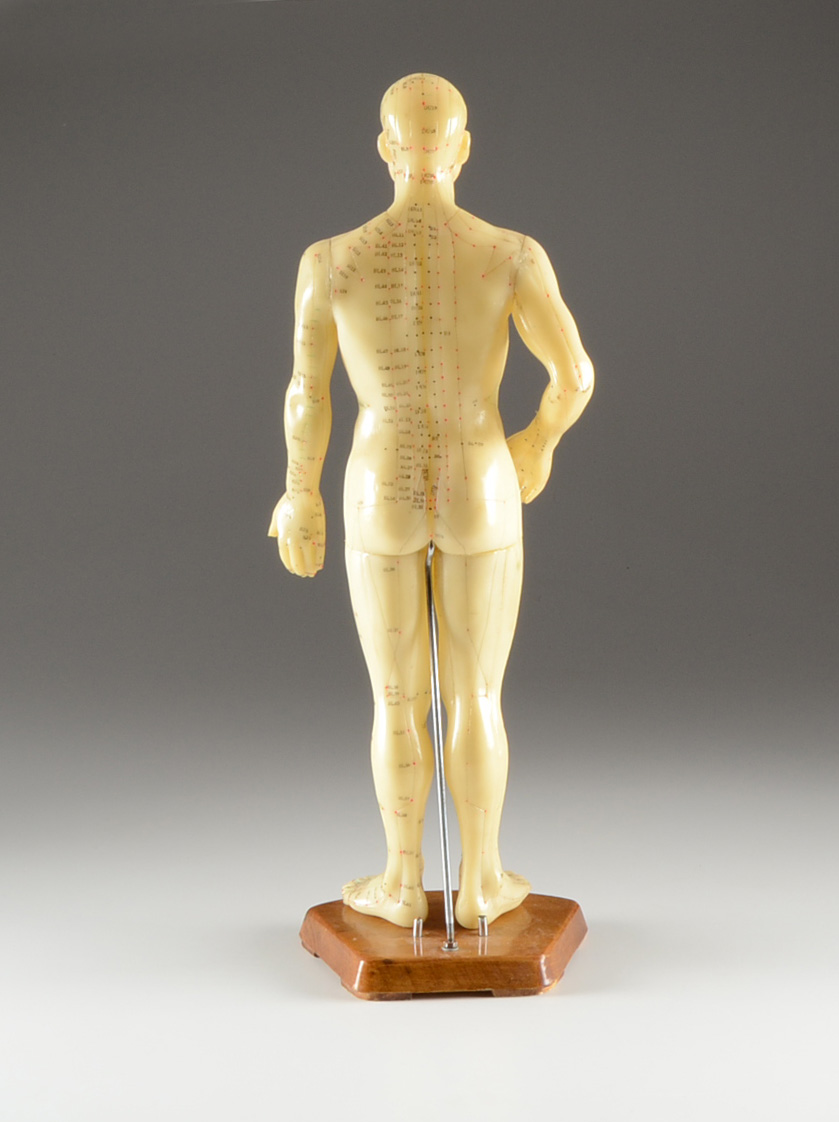 Vintage Acupuncture Model