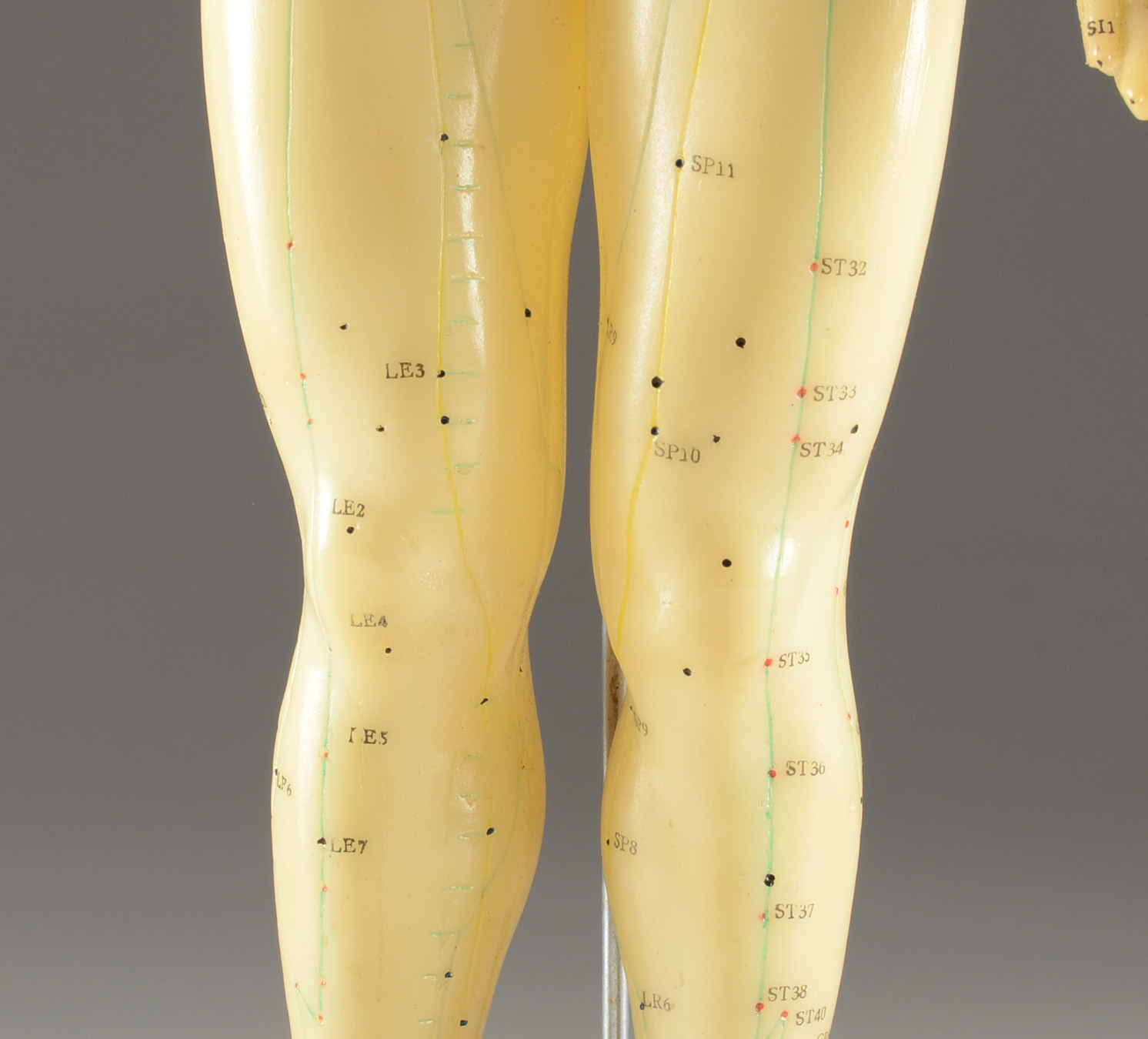 Vintage Acupuncture Model