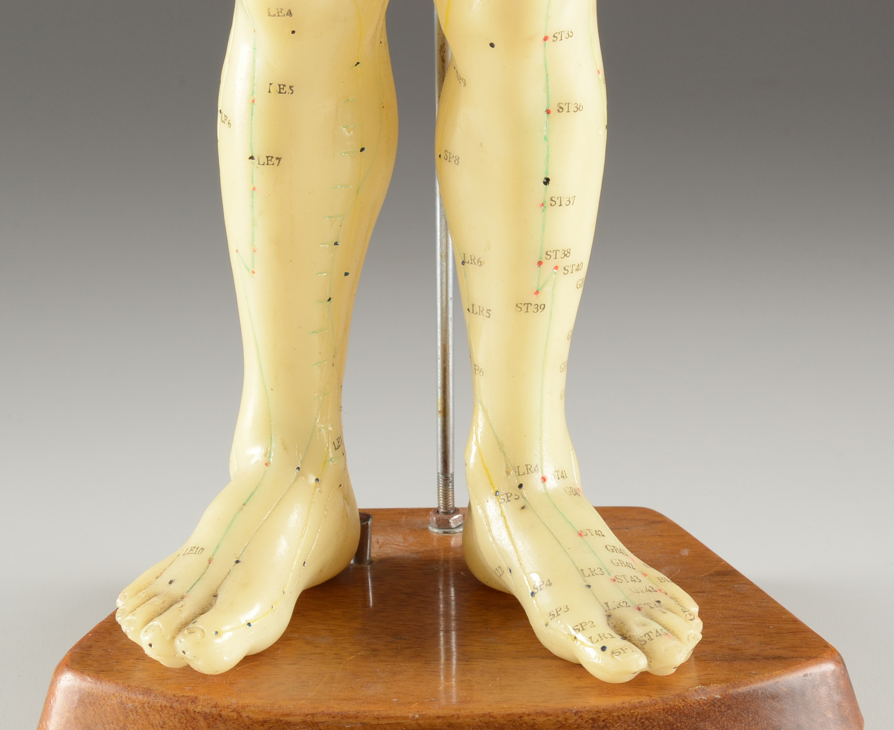 Vintage Acupuncture Model