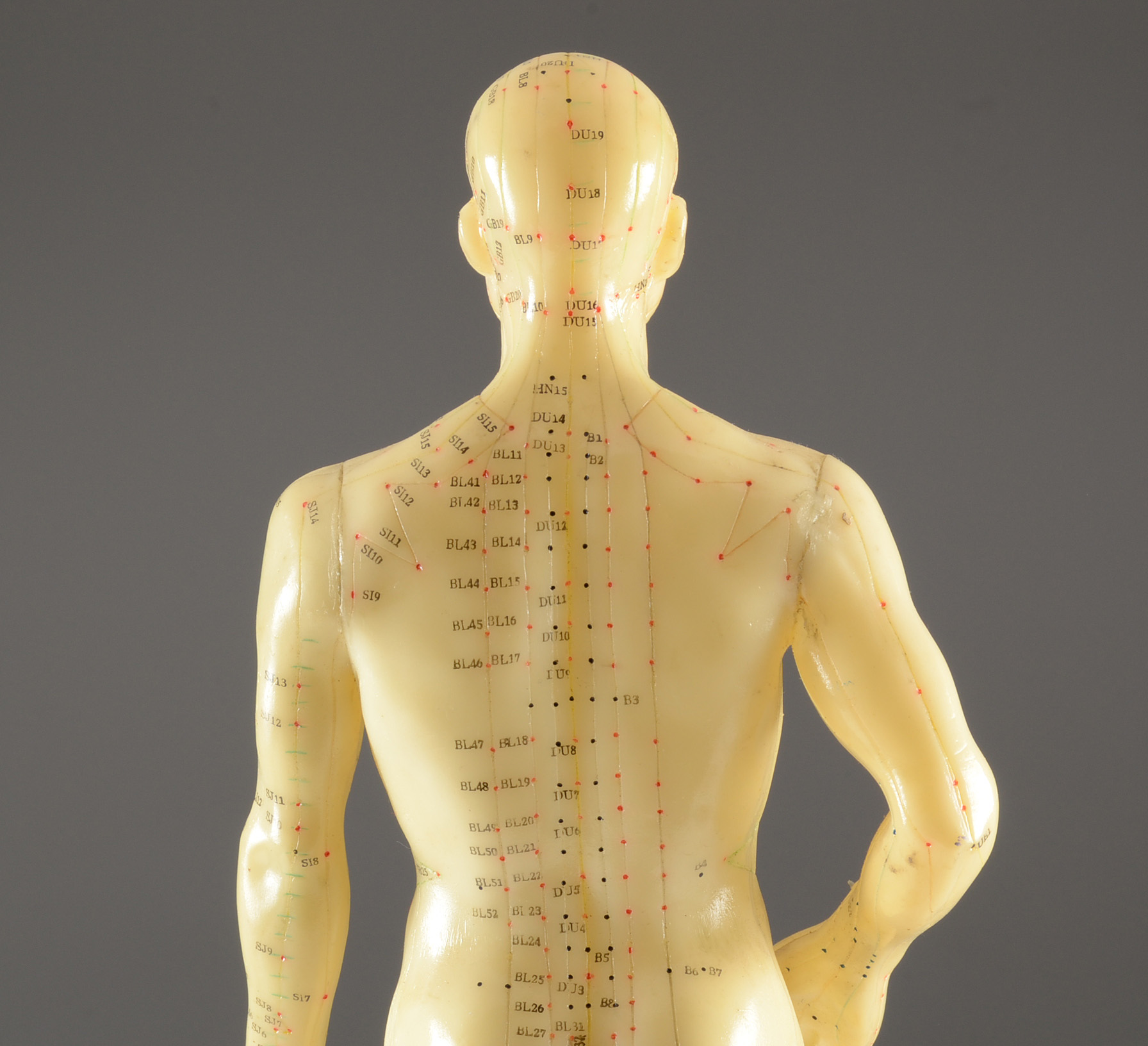 Vintage Acupuncture Model