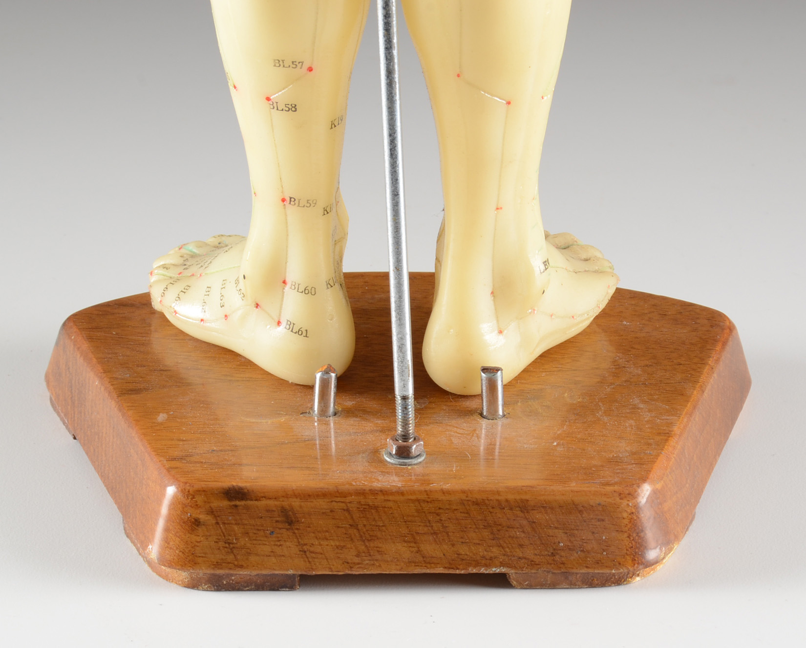 Vintage Acupuncture Model