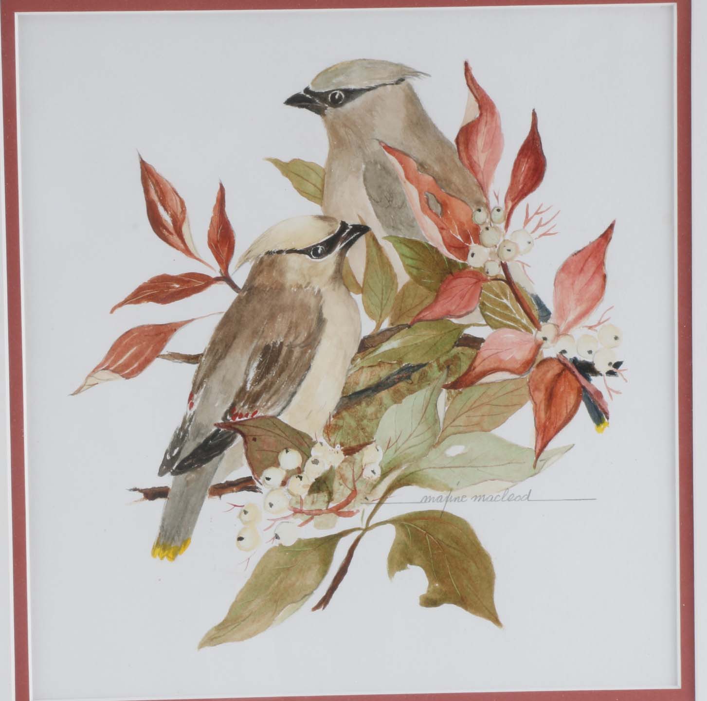 Original Maxine MacLeod Watercolor "Waxwings"