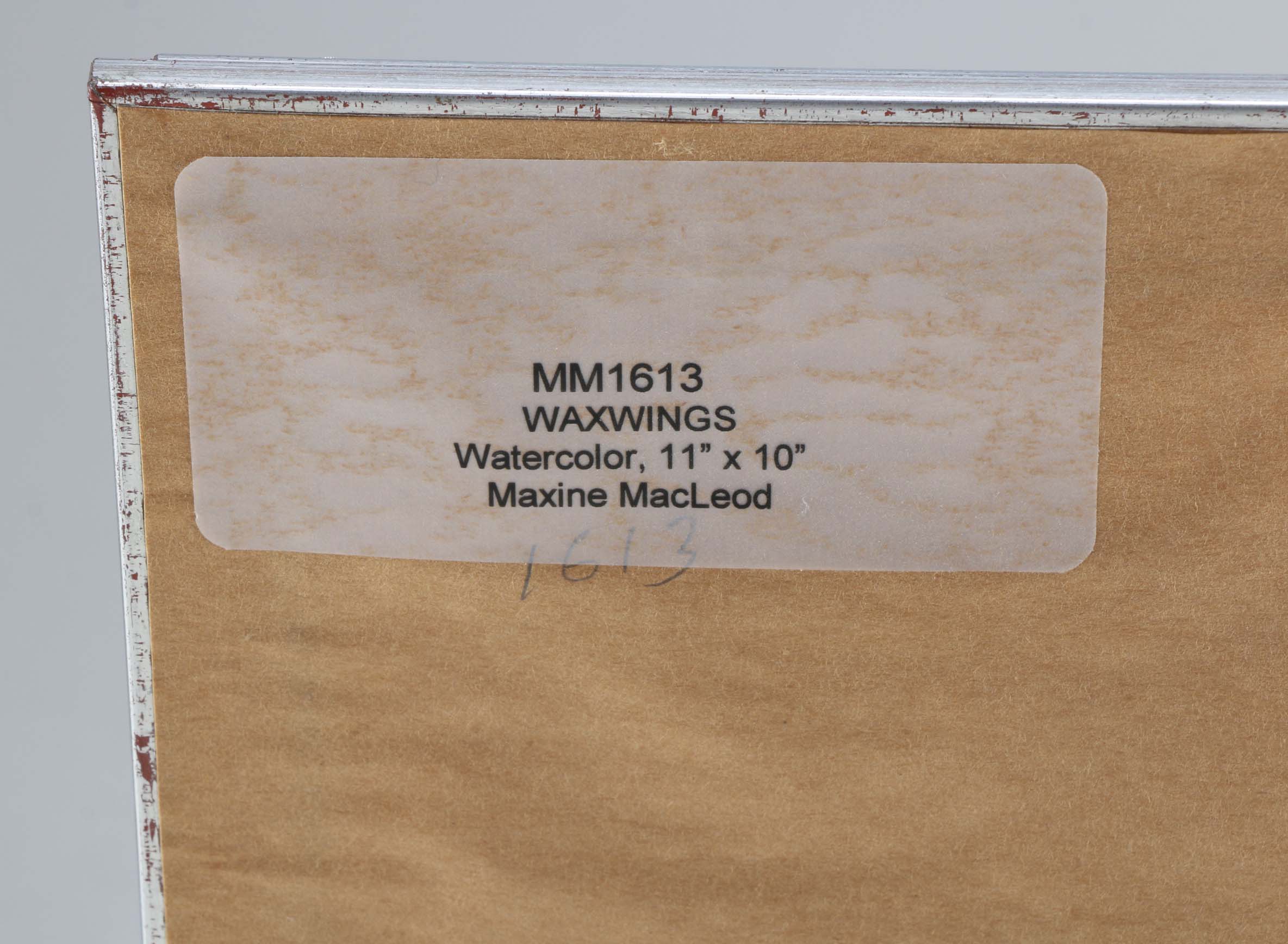 Original Maxine MacLeod Watercolor "Waxwings"