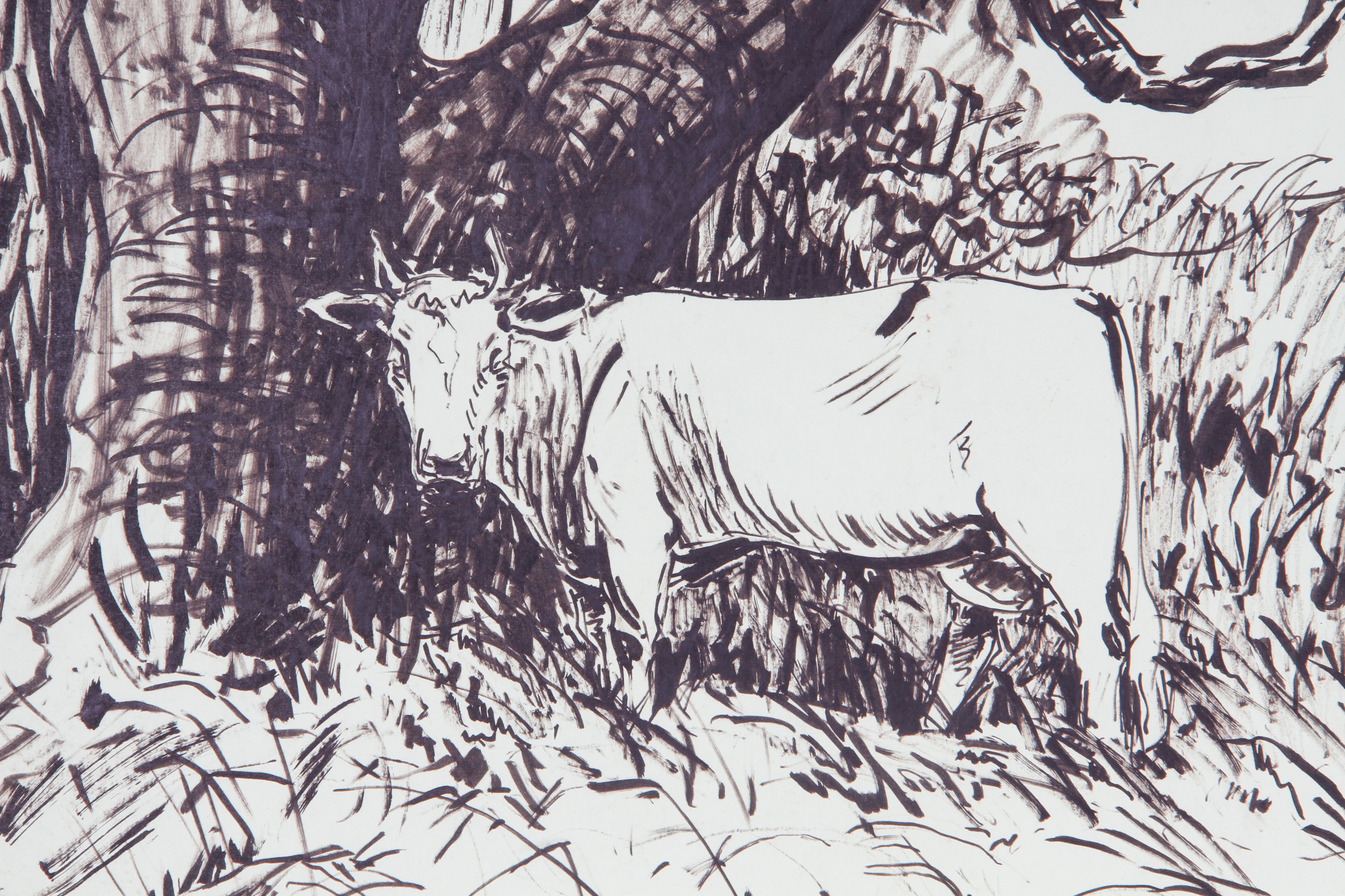 Ink Drawing by Hazel King