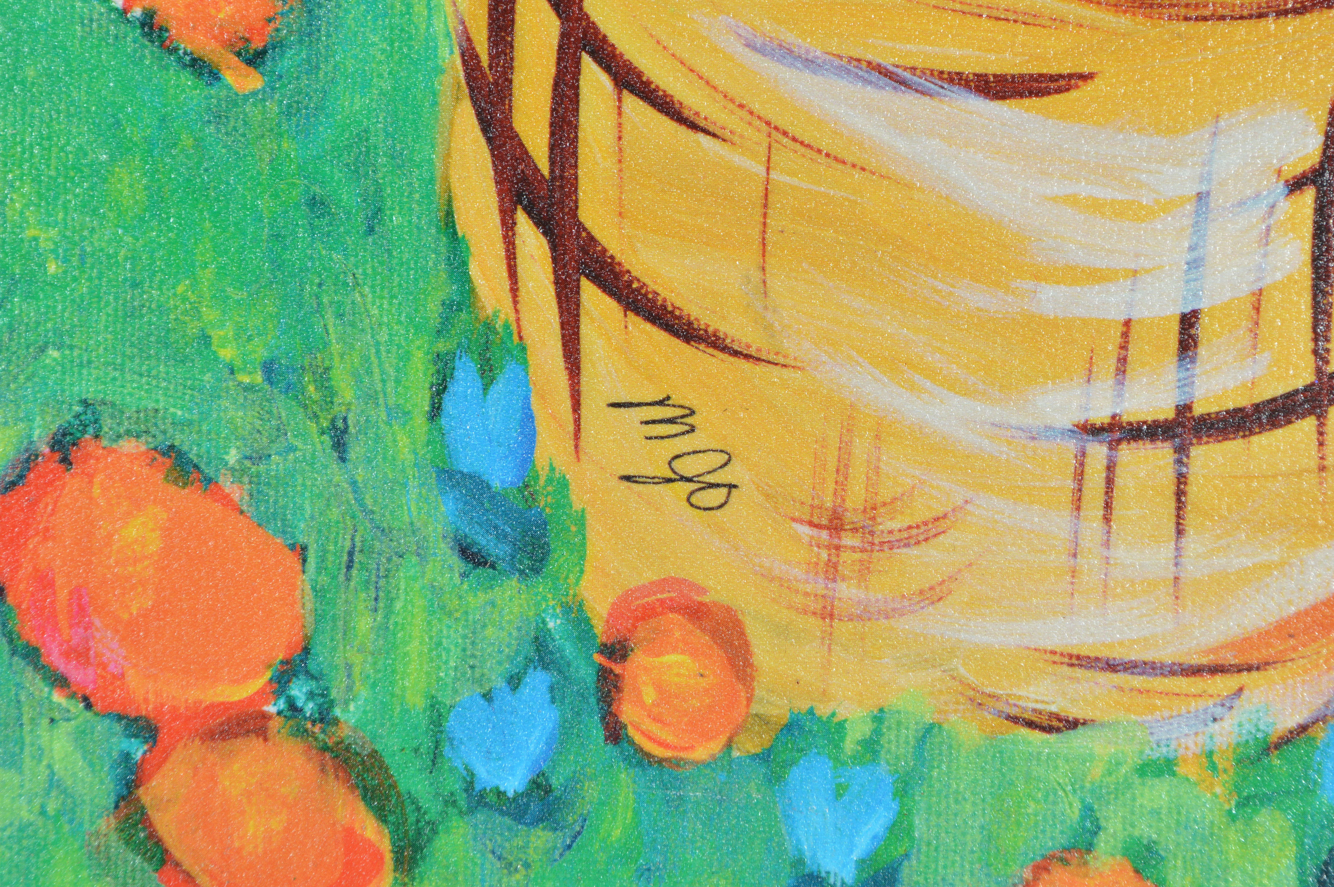 Original Framed Acrylic Canvas Paintings by Mary Jo Olsen