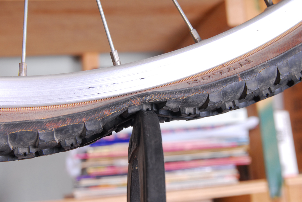 Trek 800 Antelope Ten Speed Bicycle