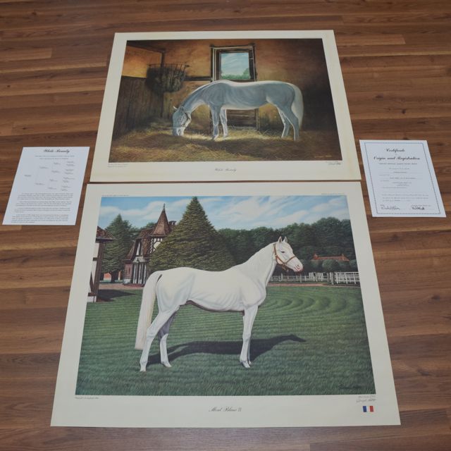 Signed, Limited Edition "White Beauty" and "Mont Blanc II" Lithographs After Joseph Petro