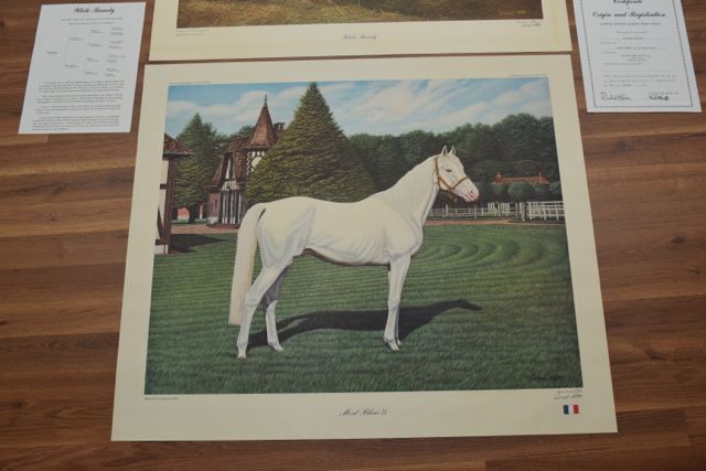 Signed, Limited Edition "White Beauty" and "Mont Blanc II" Lithographs After Joseph Petro