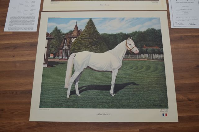 Signed, Limited Edition "White Beauty" and "Mont Blanc II" Lithographs After Joseph Petro