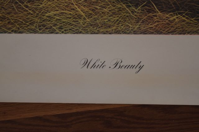 Signed, Limited Edition "White Beauty" and "Mont Blanc II" Lithographs After Joseph Petro
