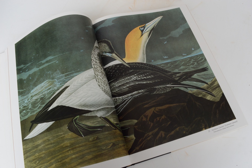 "Audubon's Birds Of America" 1981