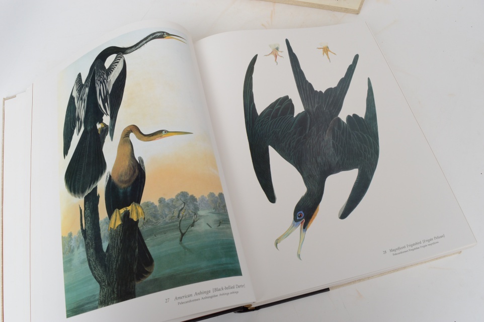 "Audubon's Birds Of America" 1981