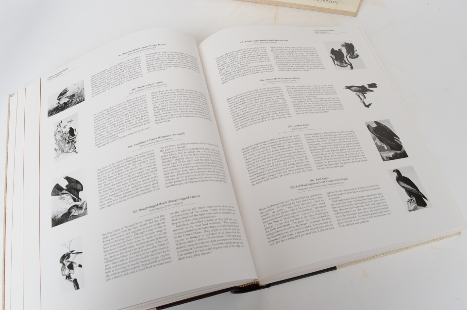 "Audubon's Birds Of America" 1981