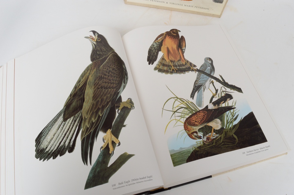 "Audubon's Birds Of America" 1981