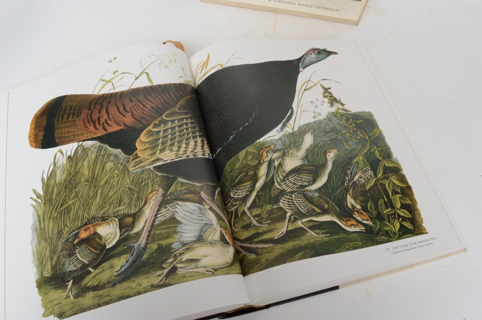 "Audubon's Birds Of America" 1981