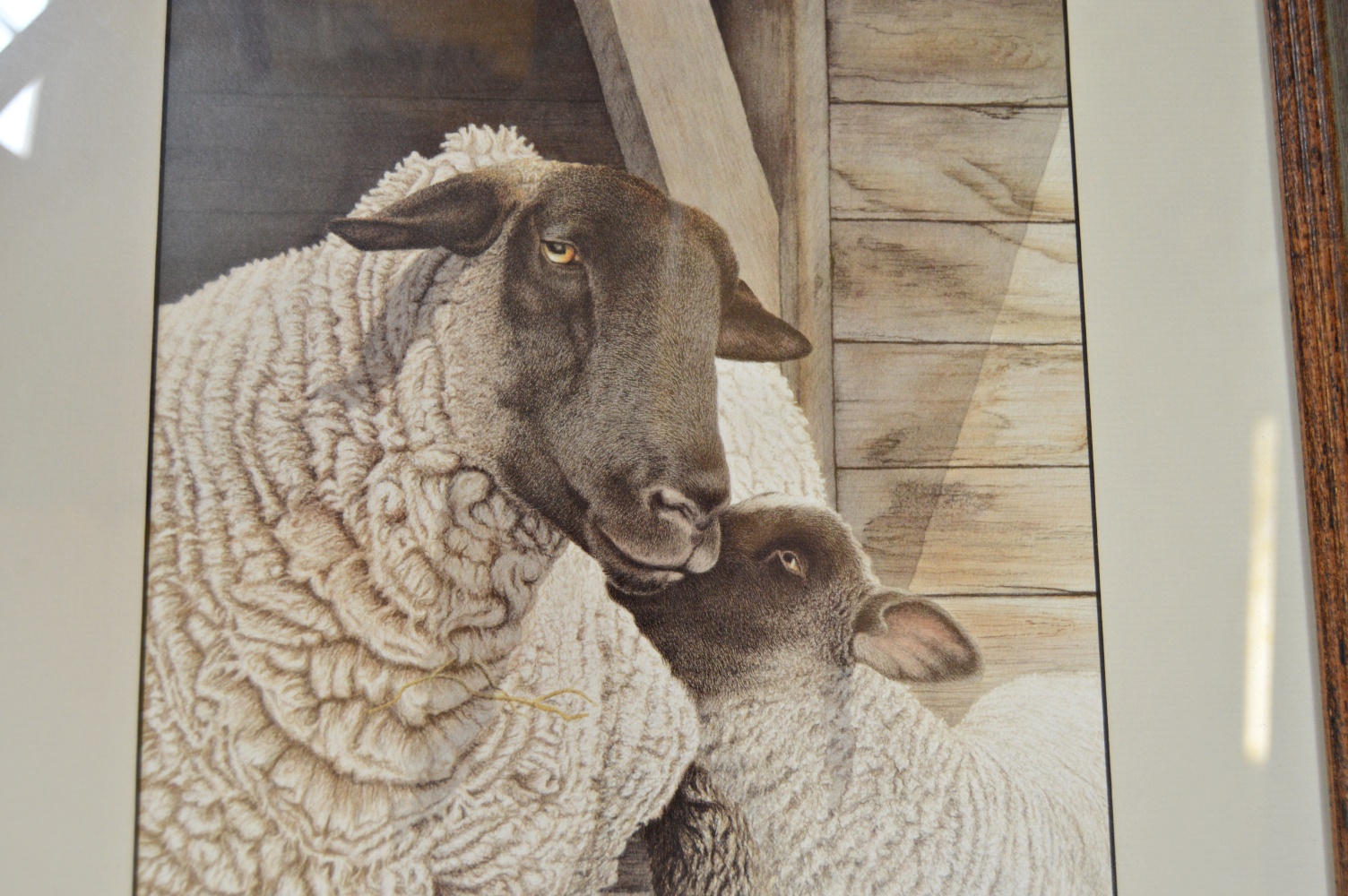 Signed Limited Edition Print by Joan Arnold