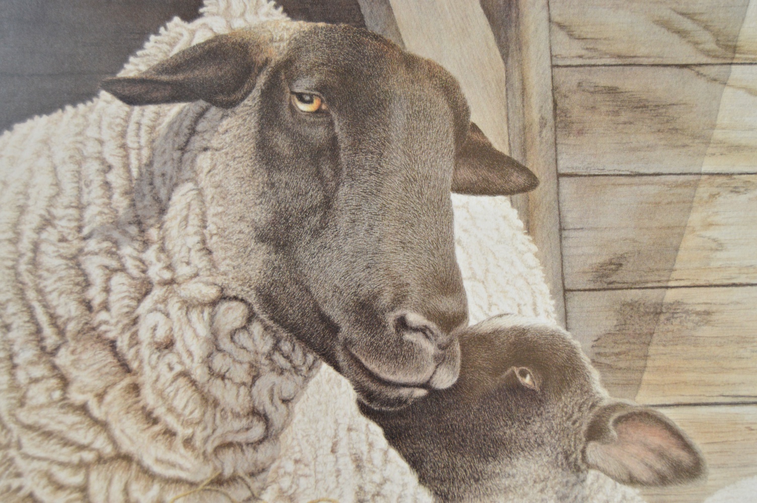 Signed Limited Edition Print by Joan Arnold