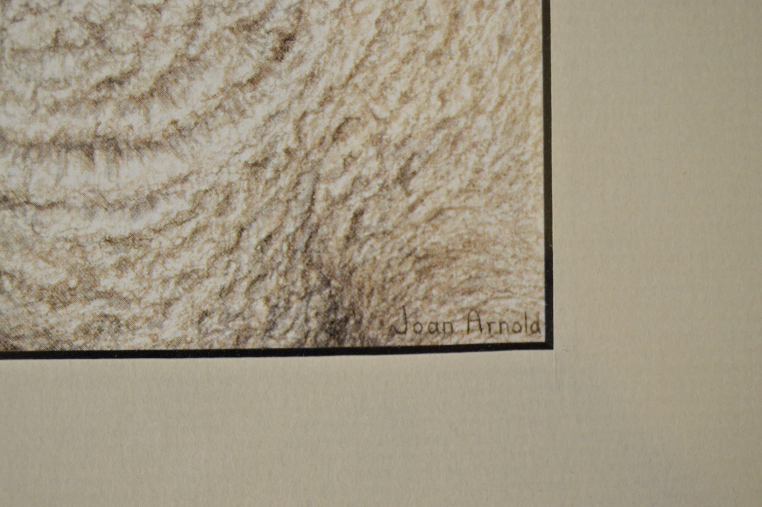 Signed Limited Edition Print by Joan Arnold