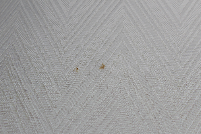 Set of Mahogany Dining Table with Eight Chairs