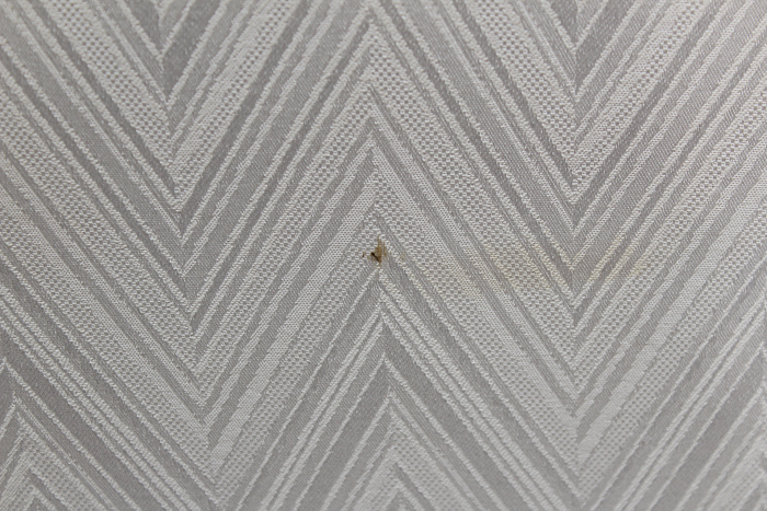 Set of Mahogany Dining Table with Eight Chairs