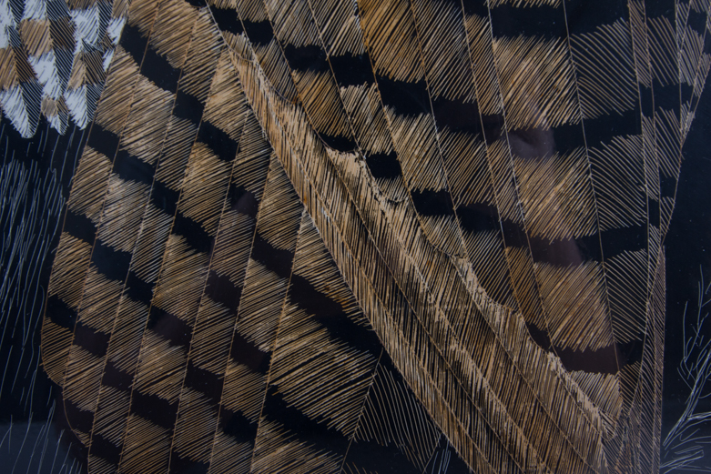 Scratch Painting of Two Owls by Richard Reid Mason