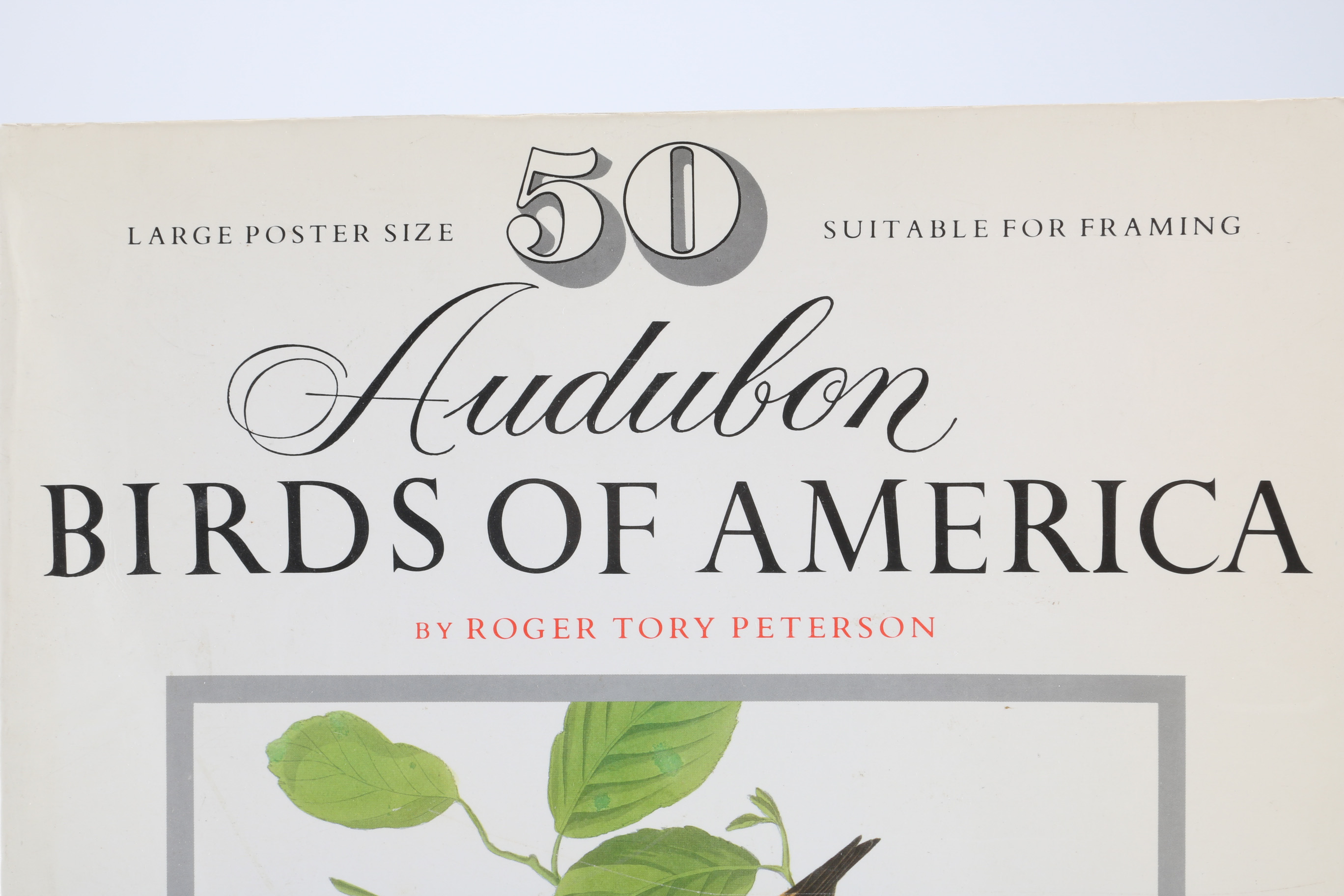 John J. Audubon Offset Lithograph Folio and Book