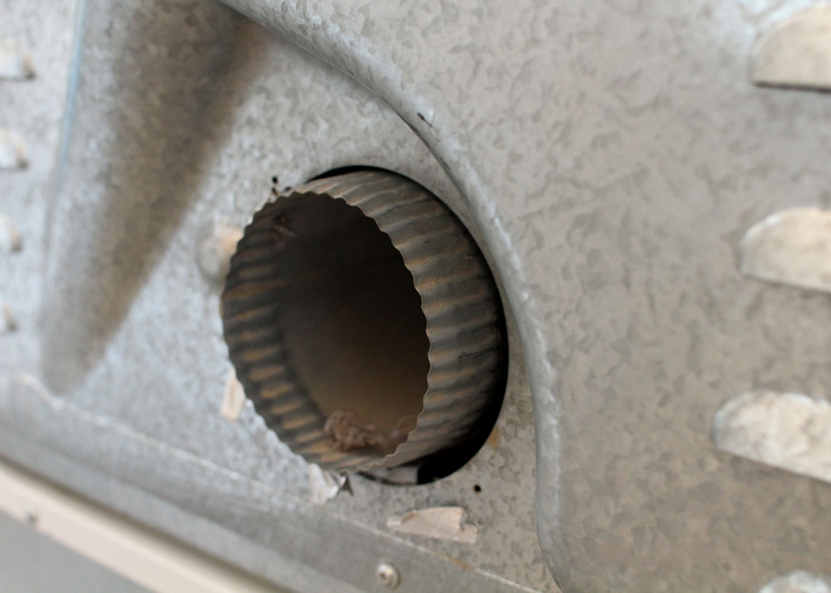 Bosch Nexxt 700 Series Clothes Dryer