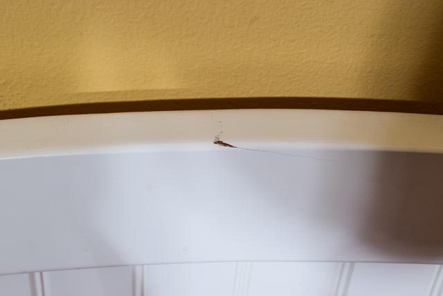 Pottery Barn Twin Bed Frame