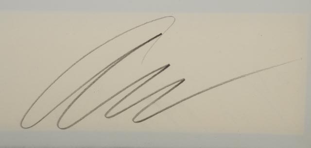 Andy Warhol Limited Edition Serigraph "Flowers (Black & White) | F&S II.107"