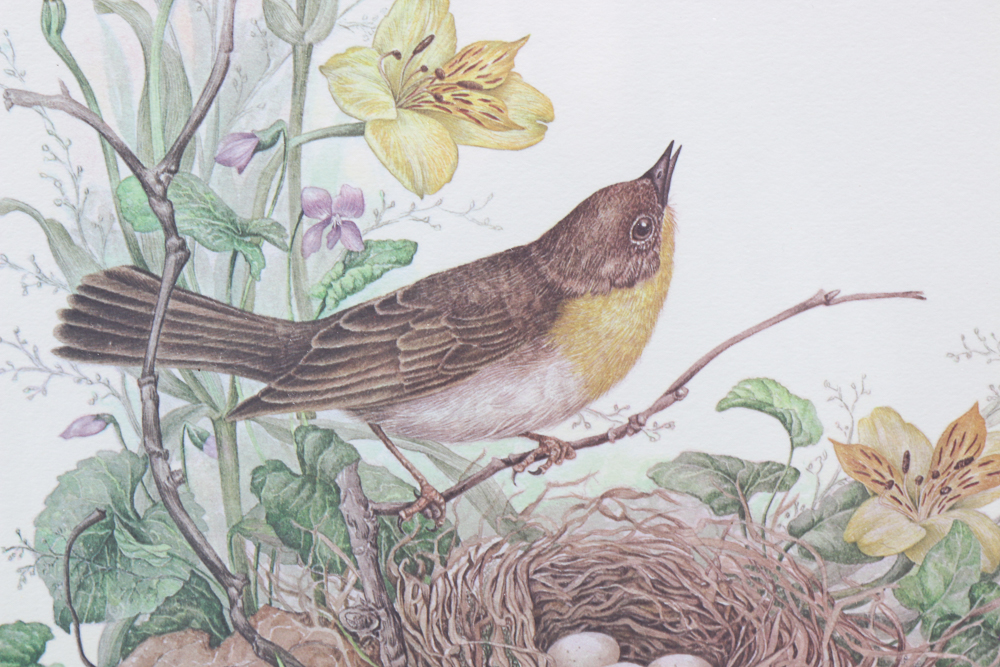 Collection of Jill Fogelsong Offset Lithographs of Birds and Flowers